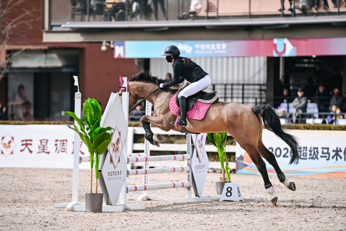 半岛体育官网-联赛专访｜吴璨彤：“我愿意永远相信我的战友，永远跟牠们并肩作战”|马术|搭档|教练|比赛|俱乐部联赛_新浪体育_新浪新闻